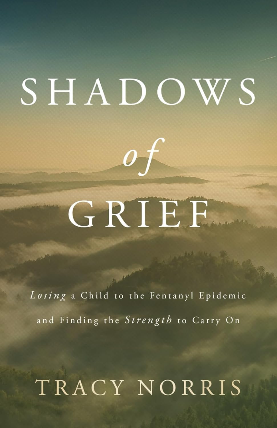 Shadows of Grief: Losing a Child to the Fentanyl Epidemic And Finding The Strength To Carry On